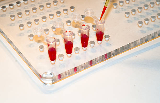 istock In medical laboratories studied blood. 534138835