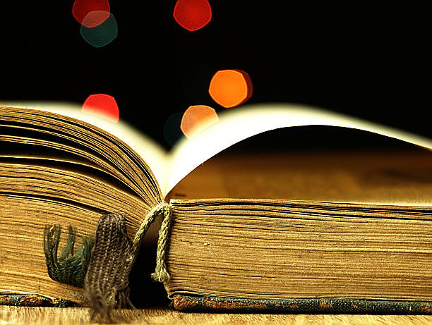 istock Old, open book with a damaged cover. 534139851