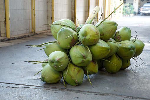 Thai young coconuts