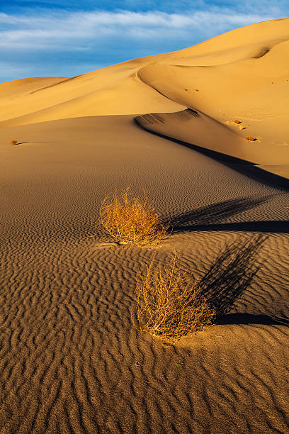 Eureka Valley Sand Dunes Death Valley stock photo