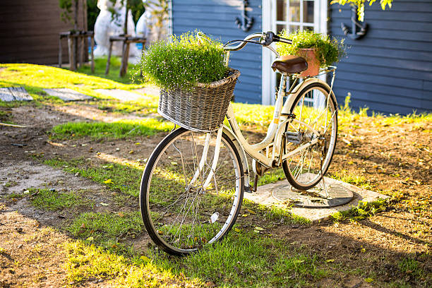 istock Old bicycle in the park 534140447