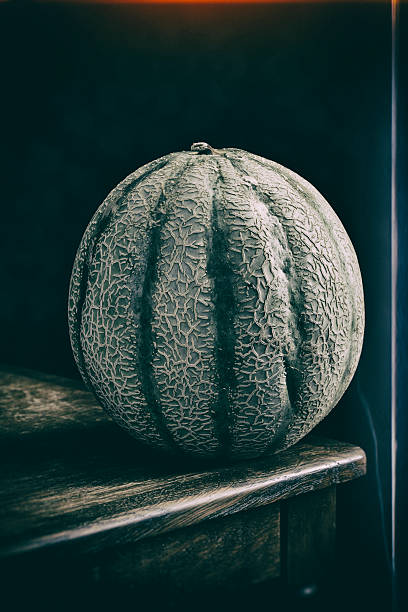Cantaloupe melon placed on oakwood table. Low key fineart style desaturated. Artistic photo of a Melon on a table with rich structure