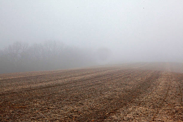 Farm field blanketed in fog stock photo