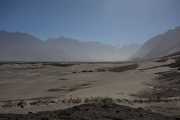 nubra valley em ladakh - prudish - fotografias e filmes do acervo