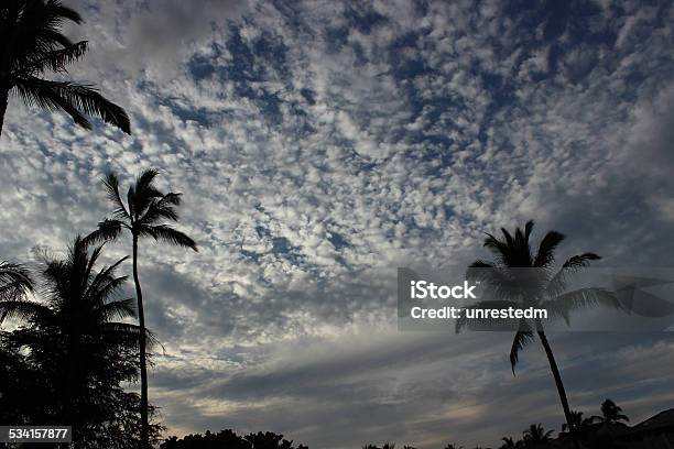 Silhouette Of Palm Trees Against Cloudy Hawaii Sky Stock Photo - Download Image Now - 2015, Awe, Back Lit