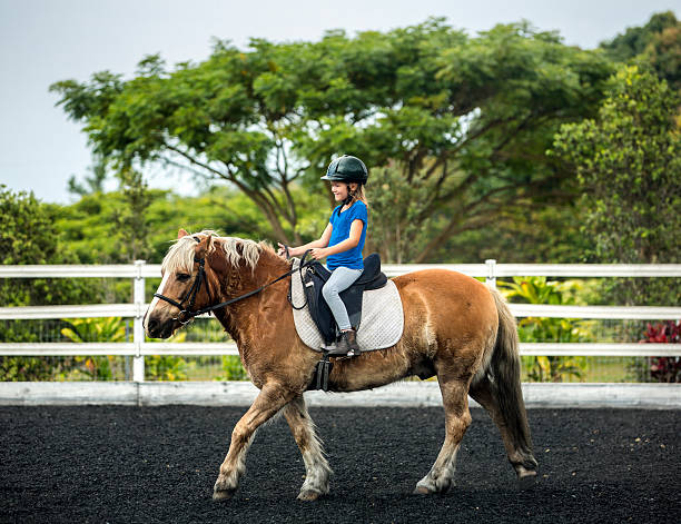 a cavallo equitazione - horse child pony little girls foto e immagini stock