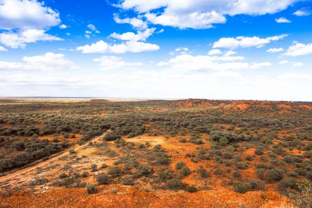 outback do oeste da austrália. - kimberley plain - fotografias e filmes do acervo