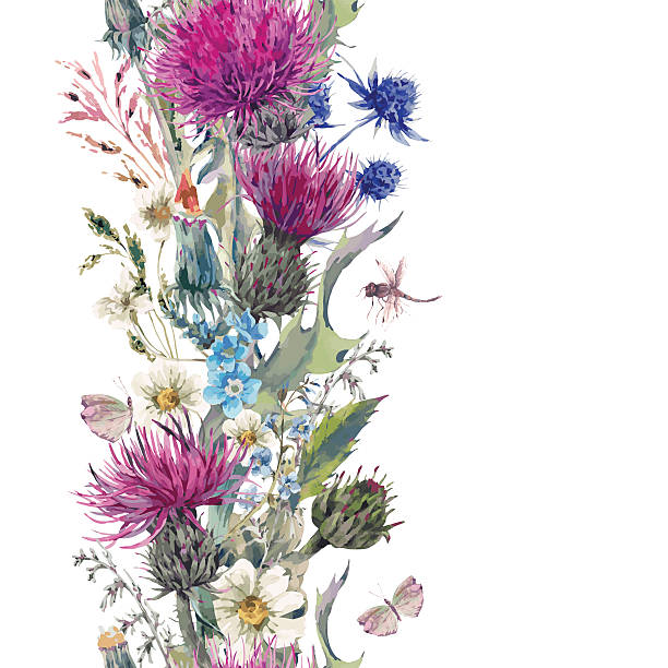illustrazioni stock, clip art, cartoni animati e icone di tendenza di erbe di confine verticale seamless vintage con fiori in boccio meadow - victorian style frame picture frame wreath