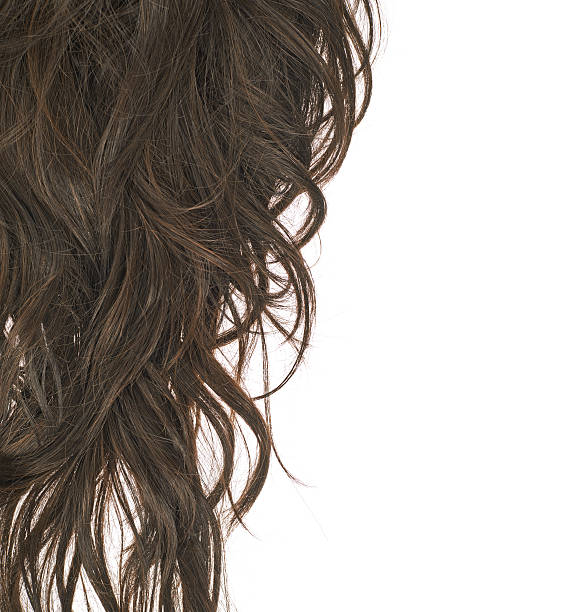 istock Hair fragment over the white 534191306
