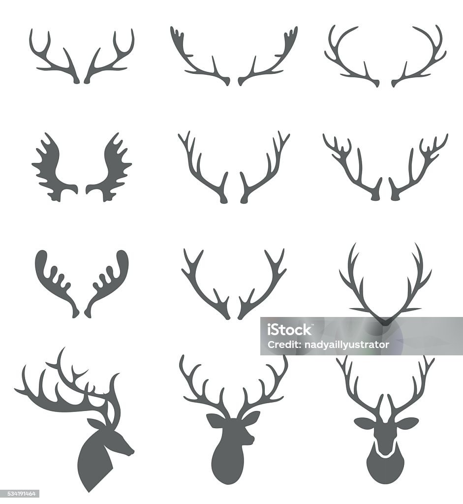 Hand Drawn Deer Antlers Vectors. Hand Drawn Deer Antlers Vectors. Vector deer antlers isolated on white. Set of different antlers large, branched and acute. Antler stock vector