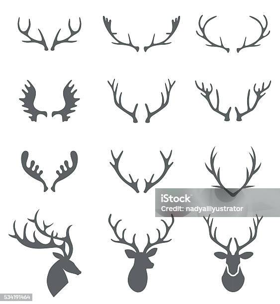 Hand Drawn Deer Antlers Vectors Stock Illustration - Download Image Now - Antler, Horned, Vector