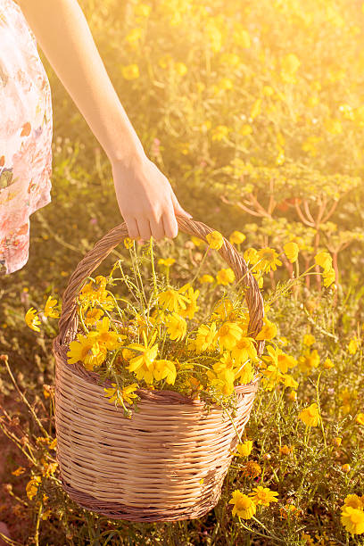 istock basket of freshly picked wildflowers 534191630