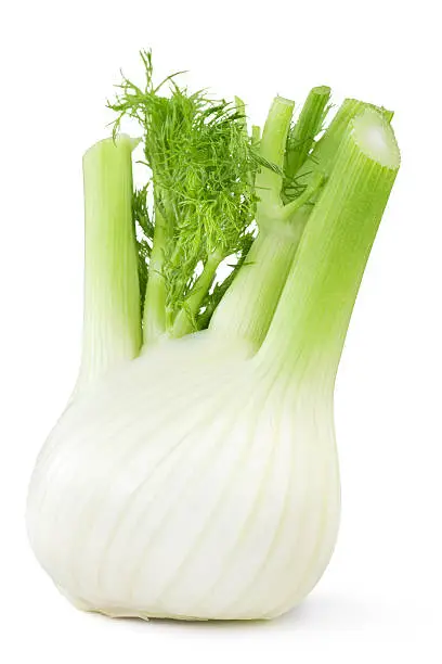 close up of fresh fennel isolated on white background