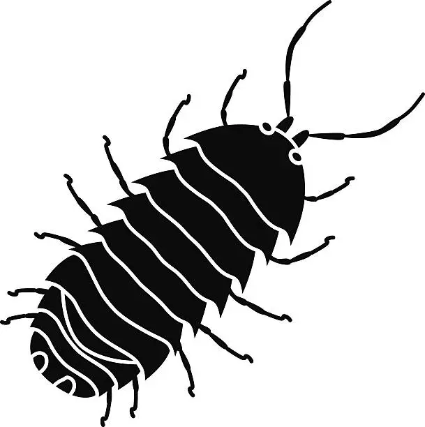 Vector illustration of pill bug commonly called roly poly in black and white