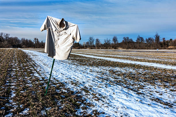 허수아비 겨울 cornfield - corn snow field winter 뉴스 사진 이미지