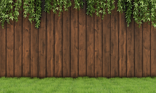 Garden with old wooden fence, grass and leaf plant-3D Rendering