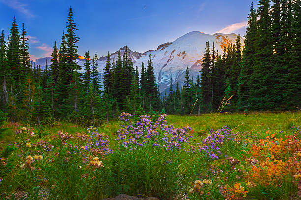 istock sunset in the beautiful valley 534197415