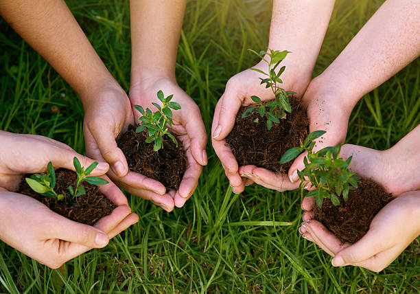 istock The grass is greener where you plant it 534198464