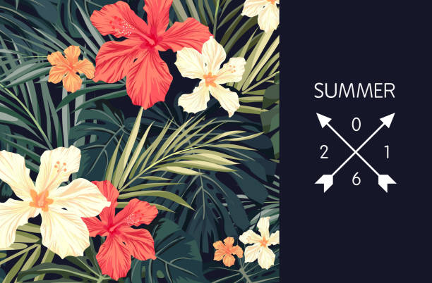 ilustrações, clipart, desenhos animados e ícones de verão tropical havaiano fundo com folhas de palmeira e exóticos - hawaiian culture hibiscus print pattern