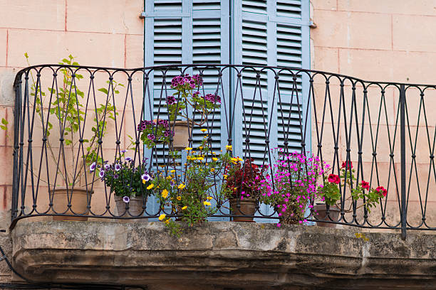 Window with garanium flowers and shutters