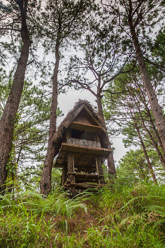 WOODEN FOREST HUT IN AN ECO LODGE IN LA TRINADAD BAGUIO NORTH LUZON PHILIPPINES