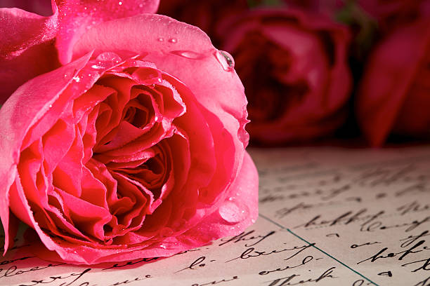 istock Rose on top of handwritten letters and postcard 534205158