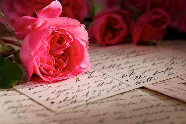 rosa sobre escrito a mão de cartas e cartões postais - single flower flower pink macro - fotografias e filmes do acervo