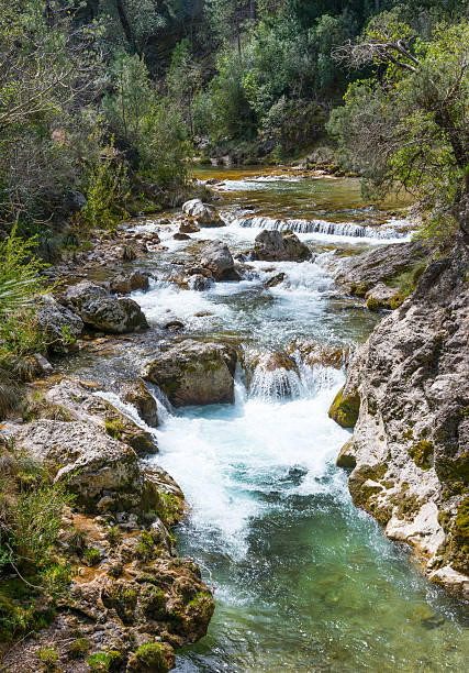 istock River Borosa Walking Trail in the Sierra Cazorla Mountain Range 534206360