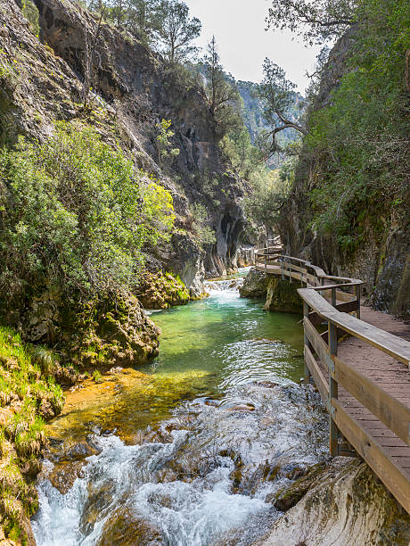 istock River Borosa Walking Trail in the Sierra Cazorla Mountain Range 534209926