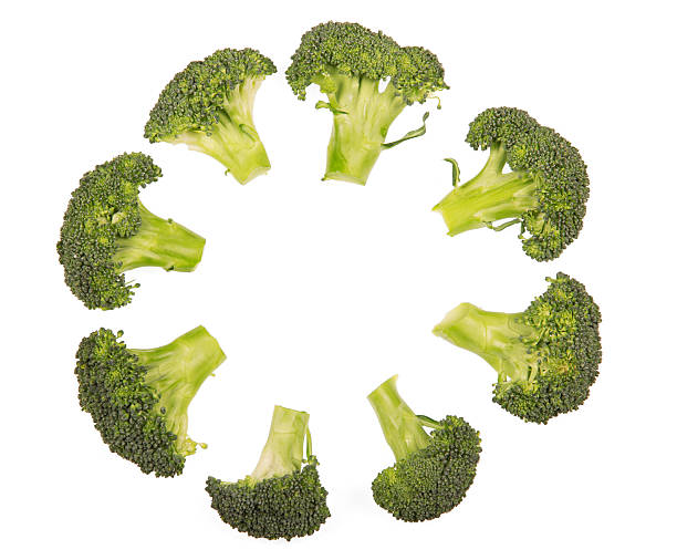 istock Fresh broccoli florets laid out in  circle isolated on white 534210024