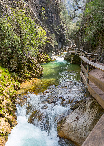 istock River Borosa Walking Trail in the Sierra Cazorla Mountain Range 534210252