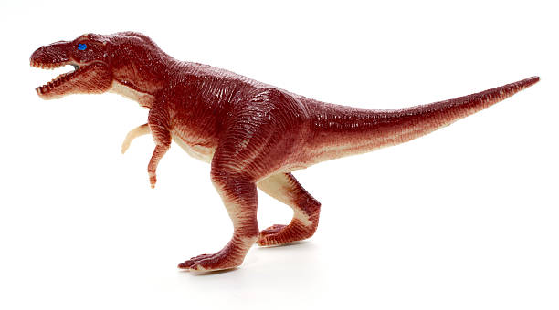 istock Tyrannosaurus dinosaur toy on white background 534211774