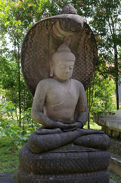 statua di buddha amitabha - subjugate foto e immagini stock