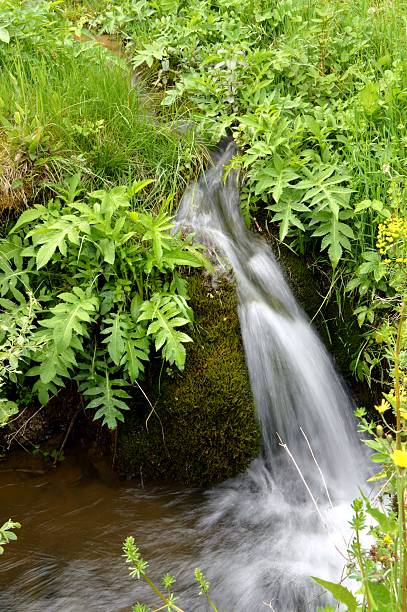 petite chute d'eau (envolée) d'un compteur sur le bas. - rainforest australia river waterfall photos et images de collection