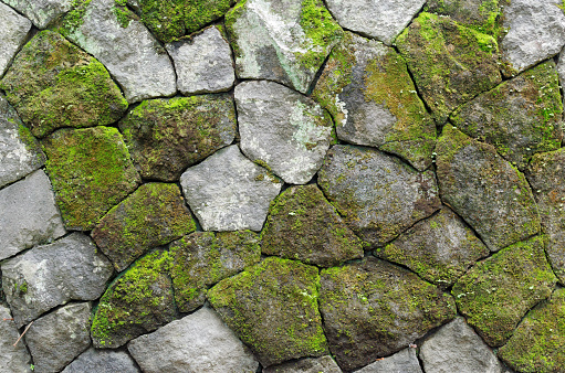 mossy rustic stone wall