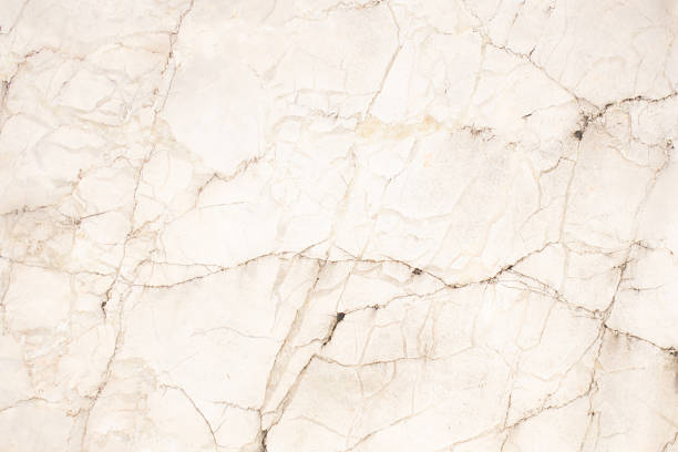 istock white paper background, creased paper texture 534217096