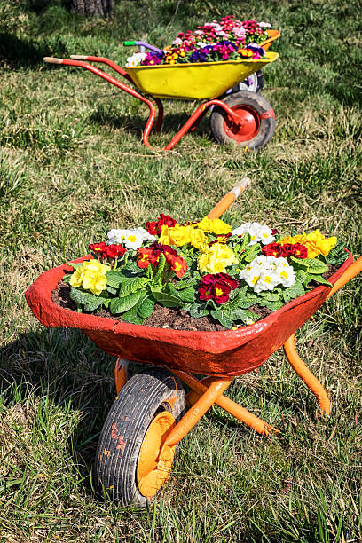 istock flowers in an old cart 534217631