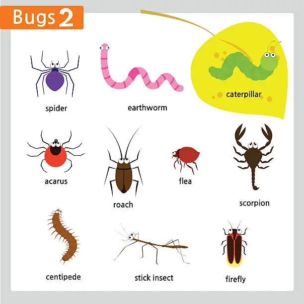 Vector illustration of Bugs and insects 2