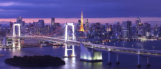 istock Rainbow bridge and Tokyo Tower landmark 534219549