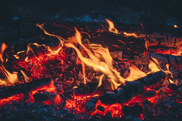 istock Beautiful fire close-up, hike in the woods. 534219880