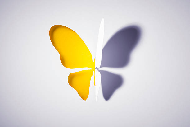 istock Cut out Paper Yellow Buttlerfly 534223713
