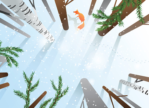 Winter forest with trees and fox seen from above. Blank space for your text. EPS10