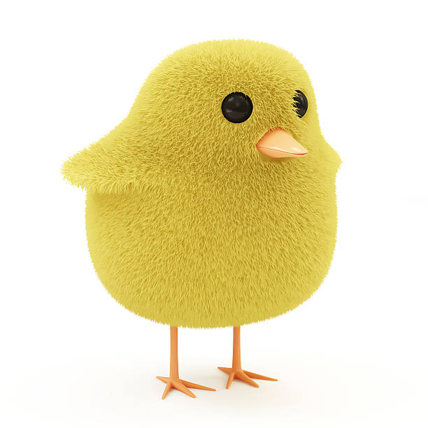 istock Easter Little Chicken isolated on white background 534264235