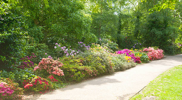 passway en parque de greenwich con flores flores, londres - single lane road footpath flower formal garden fotografías e imágenes de stock