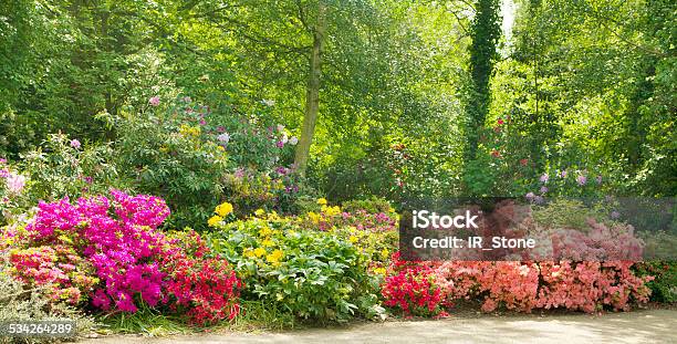 Flowers Blossom In Greenwich Park London Stock Photo - Download Image Now - Elevated Walkway, Flower, Vegetable Garden