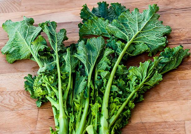 bund leuchtend grüne rübe "cime di rapa". italienische küche - turnip leaf vegetable green freshness stock-fotos und bilder