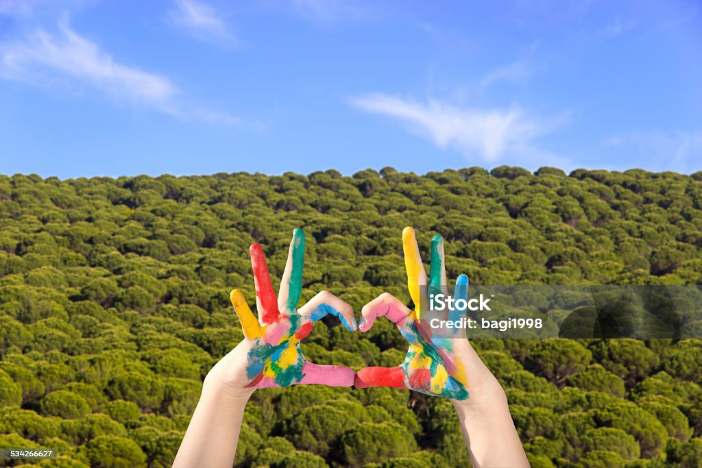 Painted hands sign heart 2015 Stock Photo