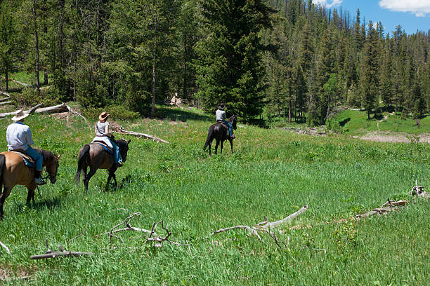 istock People Trail Riding On Horseback 534266965