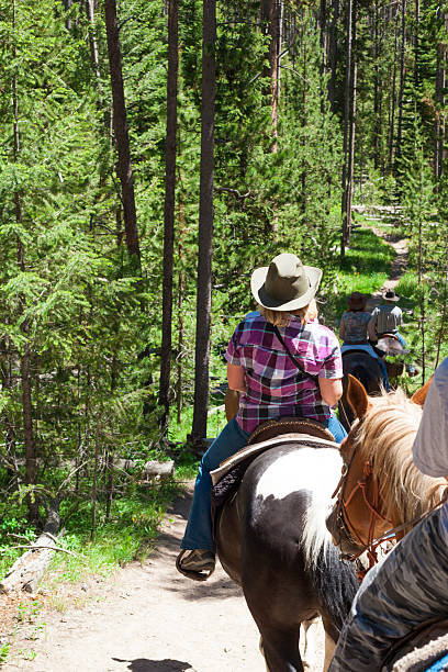 istock People Trail Riding On Horseback 534266971