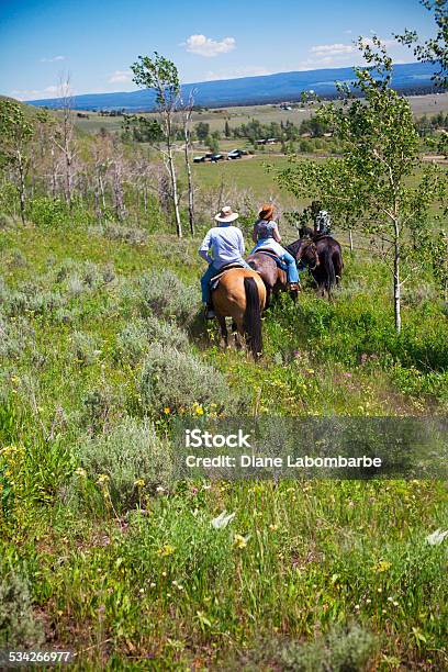 People Trail Riding On Horseback Stock Photo - Download Image Now - 2015, Adult, Color Image